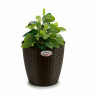 Planter Stefanplast Plastic 29 x 26,5 x 29 cm (6 Units)