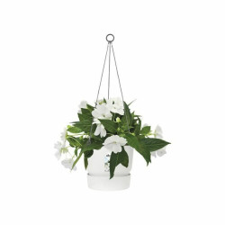 Hanging Planter Elho Greenville White Plastic Ø 23,9 x 20,3 cm