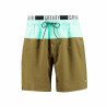 Men’s Bathing Costume Puma Swim Olive