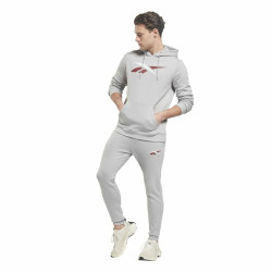 Men’s Hoodie Reebok Essentials Vector Grey