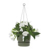 Hanging Planter Elho Greenville Ø 23,9 x 20,3 cm Green