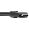 USB-C Cable Targus ACC1122GLX Black 1,8 m