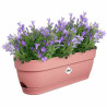 Planter Elho   Pink Plastic