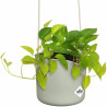 Hanging Planter Elho   Green Plastic Ø 18 cm