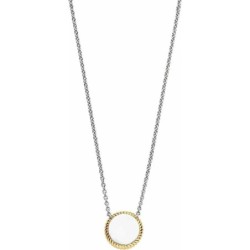 Ladies' Necklace Ti Sento 34031YP/42