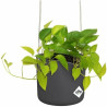 Hanging Planter Elho   Black Anthracite Plastic Ø 18 cm