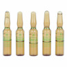 Ampoules Endoncare Tensage Regenerative (10 x 2 ml)