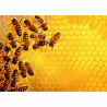 Puzzle Ravensburger Challenge 17362 Beehive 1000 Pieces