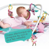 Play mat Tiny Love