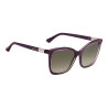 Ladies' Sunglasses Jimmy Choo S Silver Burgundy