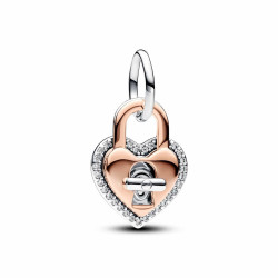 Woman's charm link Pandora 783079C01