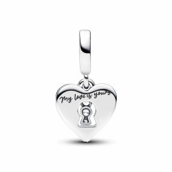 Woman's charm link Pandora 793119C01