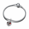 Woman's charm link Pandora 793119C01