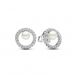 Ladies' Earrings Pandora 291248C01