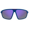 Men's Sunglasses Polaroid PLD 2142_S