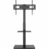 TV Mount Equip 650613 37"-75" 75" 40 kg