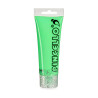 Acrylic paint Neon 75 ml Green (12 Units)