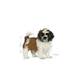 Fodder Royal Canin Shih Tzu Puppy Kid/Junior Vegetable 500 g