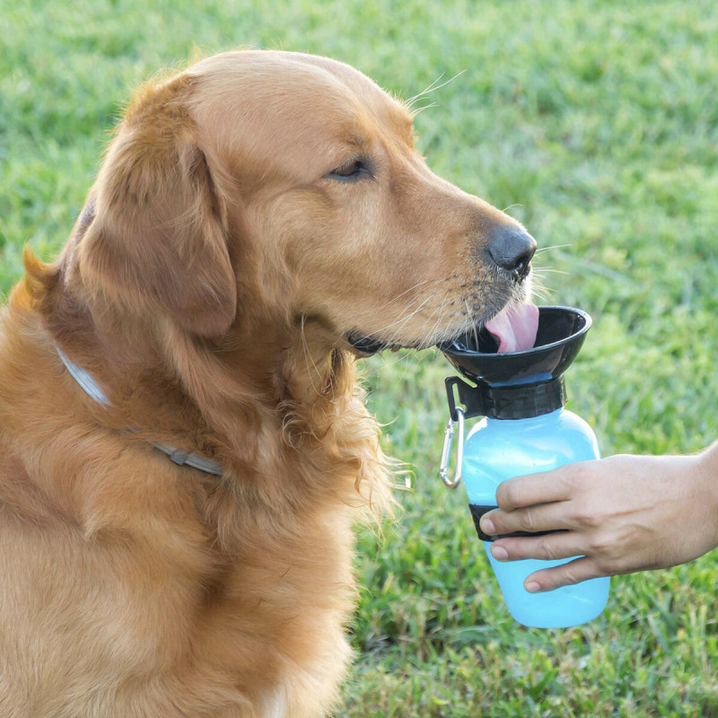 Dog Water Bottle-Dispenser InnovaGoods