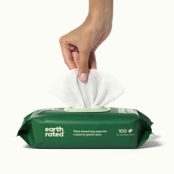 Wipes Earth Rated 100 Units