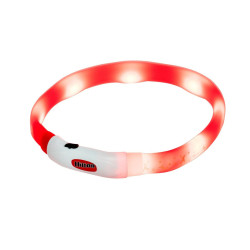 Dog Lead Hilton LED