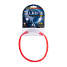 Dog Lead Hilton LED