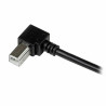 USB A to USB B Cable Startech USBAB1MR             Black