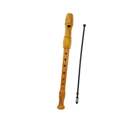 Recorder Reig