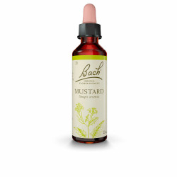 Flower Essence Bach Mustard