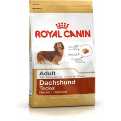 Fodder Royal Canin Dachshund Adult Adult Rice Birds 1,5 Kg