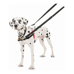 Dog Harness Company of Animals Halti Black/Red Size S (36-64 cm)