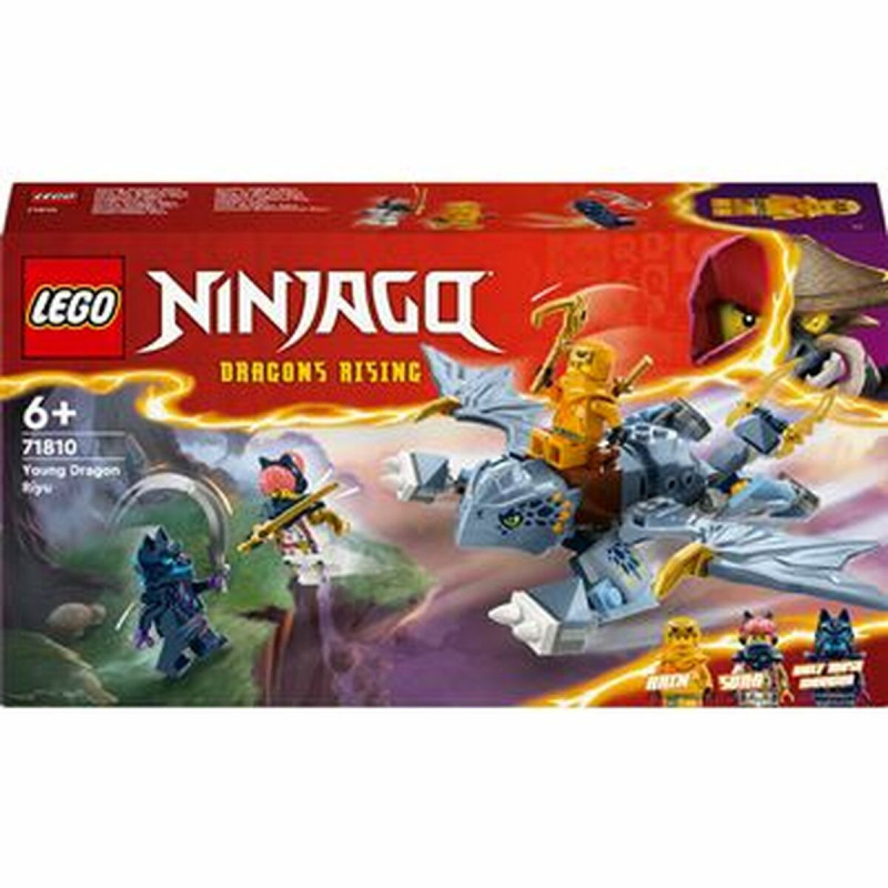 Construction set Lego Ninjago Young Dragon Riyu