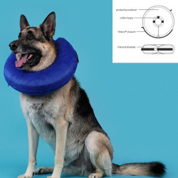 Recovery Collar for Dogs KVP Kong Cloud Blue Inflatable