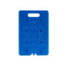 Cold Accumulator Blue Plastic 600 ml 30 x 1,5 x 20 cm (12 Units)