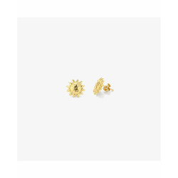 Ladies' Earrings Radiant RY000153 Stainless steel 1 cm