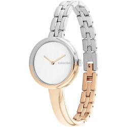 Ladies' Watch Calvin Klein 25200281