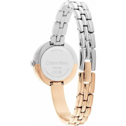 Ladies' Watch Calvin Klein 25200281