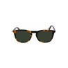 Ladies' Sunglasses Calvin Klein CK23501S