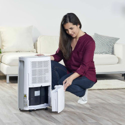 Dehumidifier Taurus PLEASANT UNIQUE 325W 22 L