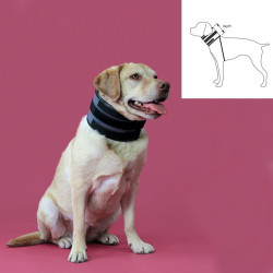 Cervical Collar for Dogs KVP Black (13-48 cm)