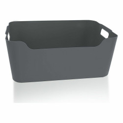 Multi-use Box Dem 20 x 14 x 8 cm (24 Units)