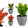 Decorative Plant Plastic (6 Units) (11 x 20 x 11 cm)