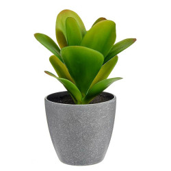 Decorative Plant Plastic (6 Units) (11 x 20 x 11 cm)