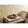 Record Player Thomson TT301