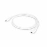 Cable USB C Urban Factory TCE01UF              White