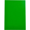 Binding covers Displast Green A4 polypropylene 50 Pieces