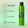 Normal Hold Hairspray Redken Root Tease 250 ml