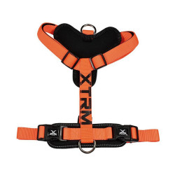 Pet Harness Nayeco x-trm 35-60 x 1,5 cm Orange