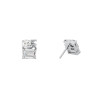 Ladies' Earrings Michael Kors MKC1665CZ040