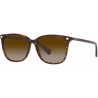 Ladies' Sunglasses Ralph Lauren RA 5293